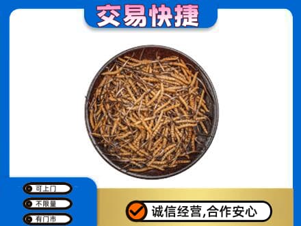 郑州回收散虫草